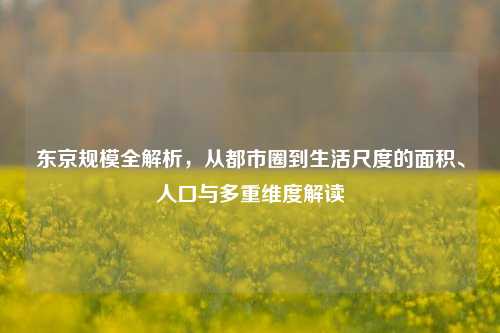 东京规模全解析,从都市圈到生活尺度的面积、人口与多重维度解读