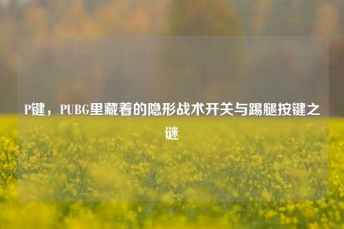 P键，PUBG里藏着的隐形战术开关与踢腿按键之谜