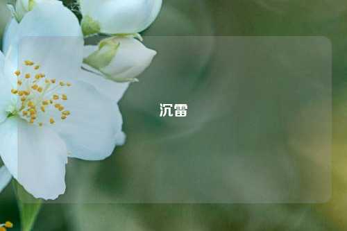 沉雷