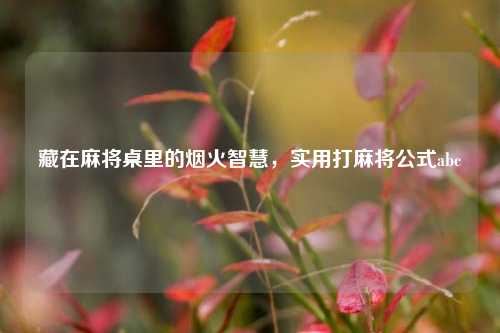 藏在麻将桌里的烟火智慧,实用打麻将公式abc