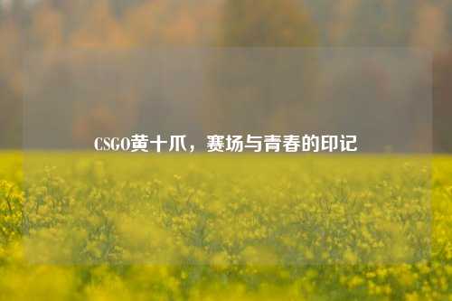 CSGO黄十爪,赛场与青春的印记