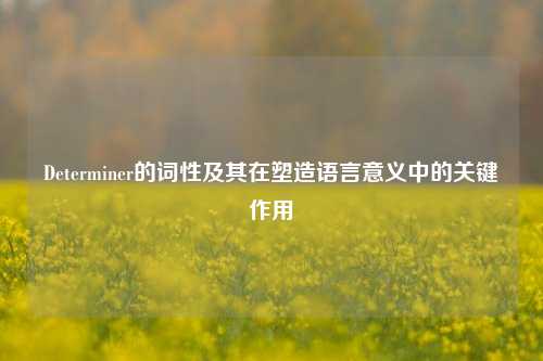 Determiner的词性及其在塑造语言意义中的关键作用