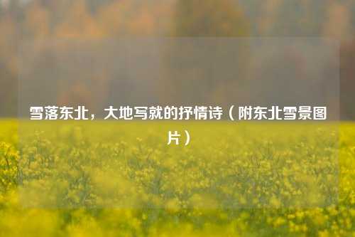 雪落东北,大地写就的抒情诗(附东北雪景图片)
