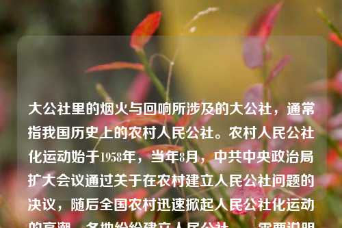 大公社里的烟火与回响所涉及的大公社,通常指我国历史上的农村人民公社。农村人民公社化运动始于1958年,当年8月,中共中央政治局扩大会议通过关于在农村建立人民公社问题的决议,随后全国农村迅速掀起人民公社化运动的高潮,各地纷纷建立人民公社。,需要说明的是,人民公社化运动在实践中存在一些问题,后来经过调整,特别是改革开放后,随着家庭联产承包责任制的推行,人民公社体制逐步被改革。1983年,中央决定撤销人民公社,建立乡、镇政府,人民公社体制正式退出历史舞台。