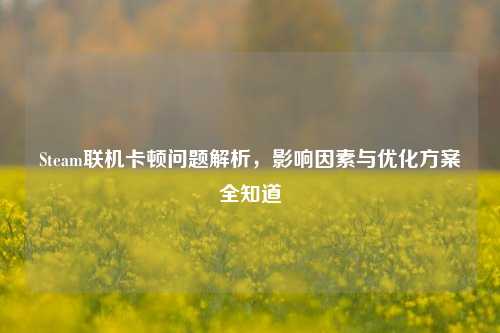 Steam联机卡顿问题解析,影响因素与优化方案全知道