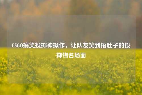 CSGO搞笑投掷神操作,让队友笑到捂肚子的投掷物名场面