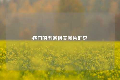 巷口的五条相关图片汇总