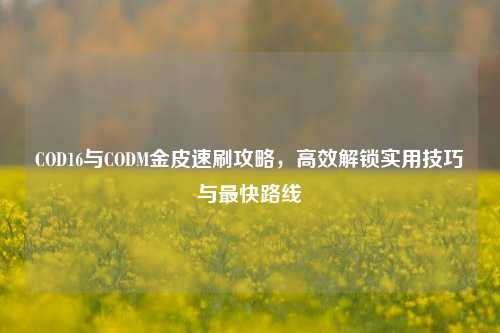 COD16与CODM金皮速刷攻略，高效解锁实用技巧与最快路线