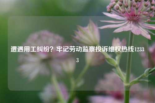 遭遇用工纠纷?牢记劳动监察投诉维权热线12333
