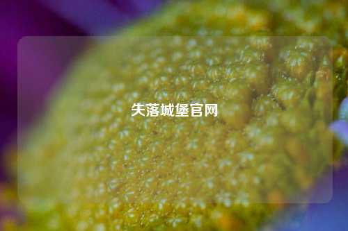 失落城堡官网
