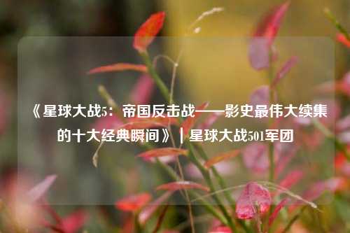 《星球大战5:帝国反击战——影史最伟大续集的十大经典瞬间》|星球大战501军团