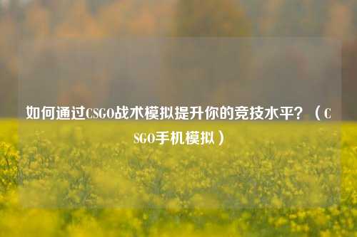 如何通过CSGO战术模拟提升你的竞技水平?(CSGO手机模拟)