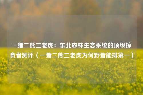 一猪二熊三老虎：东北森林生态系统的顶级掠食者测评（一猪二熊三老虎为何野猪能排第一）