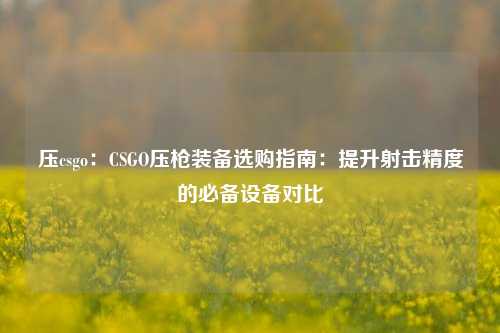压csgo:CSGO压枪装备选购指南:提升射击精度的必备设备对比