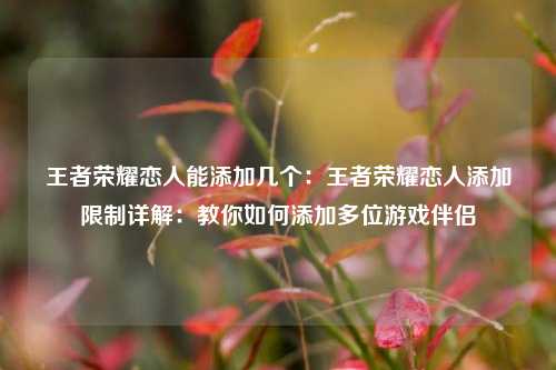 王者荣耀恋人能添加几个:王者荣耀恋人添加限制详解:教你如何添加多位游戏伴侣