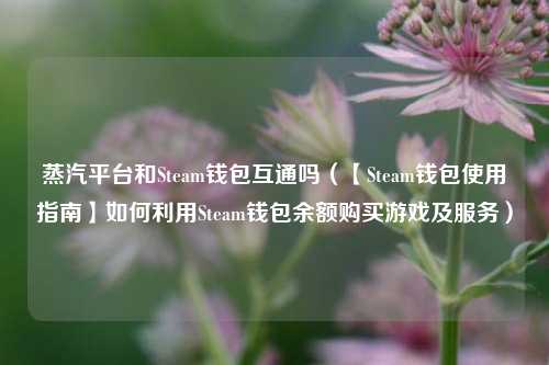 蒸汽平台和Steam钱包互通吗(【Steam钱包使用指南】如何利用Steam钱包余额购买游戏及服务)