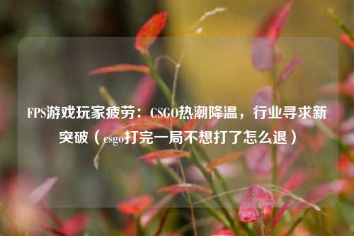 FPS游戏玩家疲劳：CSGO热潮降温，行业寻求新突破（csgo打完一局不想打了怎么退）