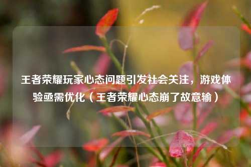 王者荣耀玩家心态问题引发社会关注,游戏体验亟需优化(王者荣耀心态崩了故意输)