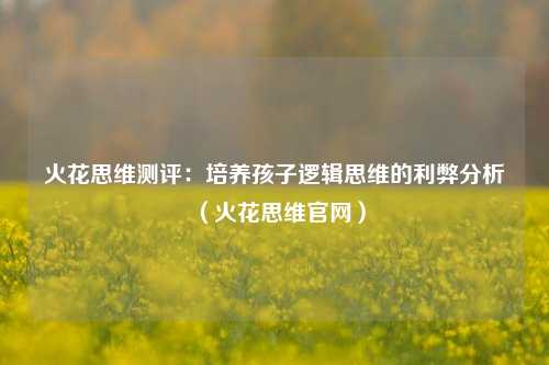 火花思维测评:培养孩子逻辑思维的利弊分析(火花思维官网)