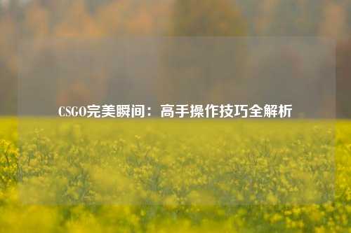 CSGO完美瞬间:高手操作技巧全解析