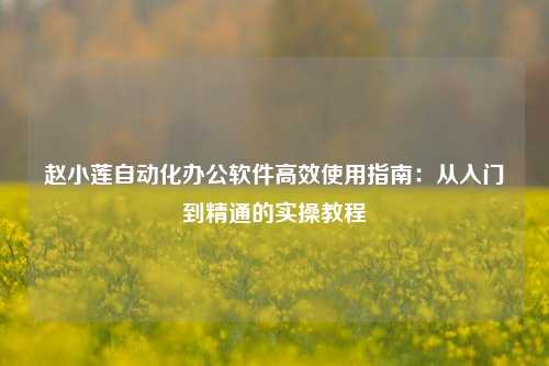 赵小莲自动化办公软件高效使用指南：从入门到精通的实操教程