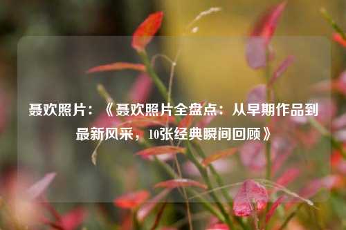 聂欢照片：《聂欢照片全盘点：从早期作品到最新风采，10张经典瞬间回顾》