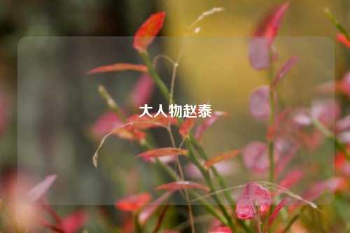 大人物赵泰