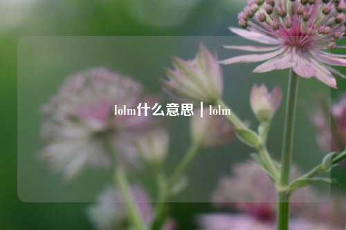 lolm什么意思|lolm