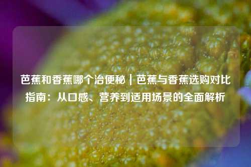 芭蕉和香蕉哪个治便秘|芭蕉与香蕉选购对比指南:从口感、营养到适用场景的全面解析