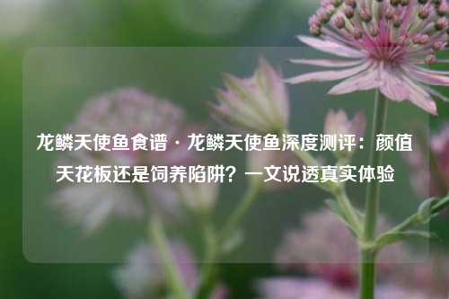龙鳞天使鱼食谱·龙鳞天使鱼深度测评:颜值天花板还是饲养陷阱?一文说透真实体验