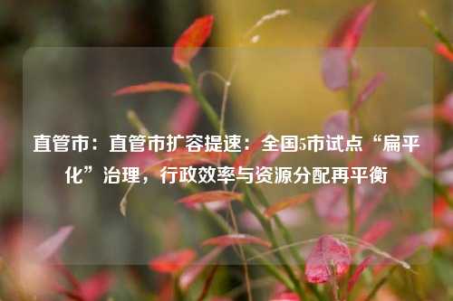 直管市：直管市扩容提速：全国5市试点“扁平化”治理，行政效率与资源分配再平衡
